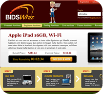 BidsWhiz Case Study