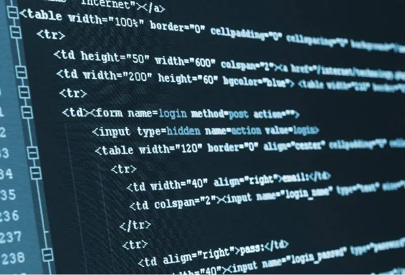 Mobile App Development vs. Mobile Web Development: Which One Fits Your Business